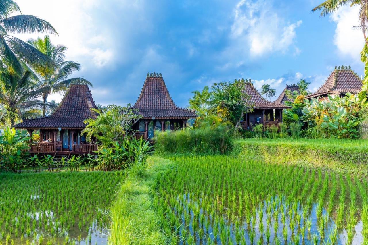 Neyang Villa *