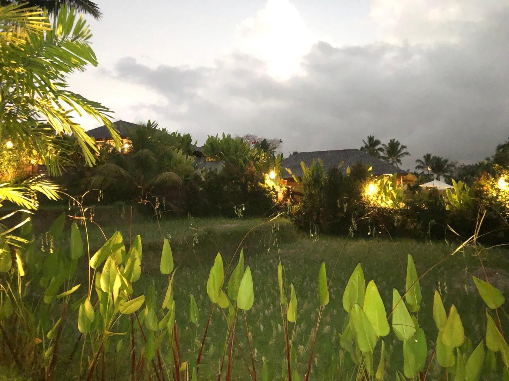 Neyang Ubud