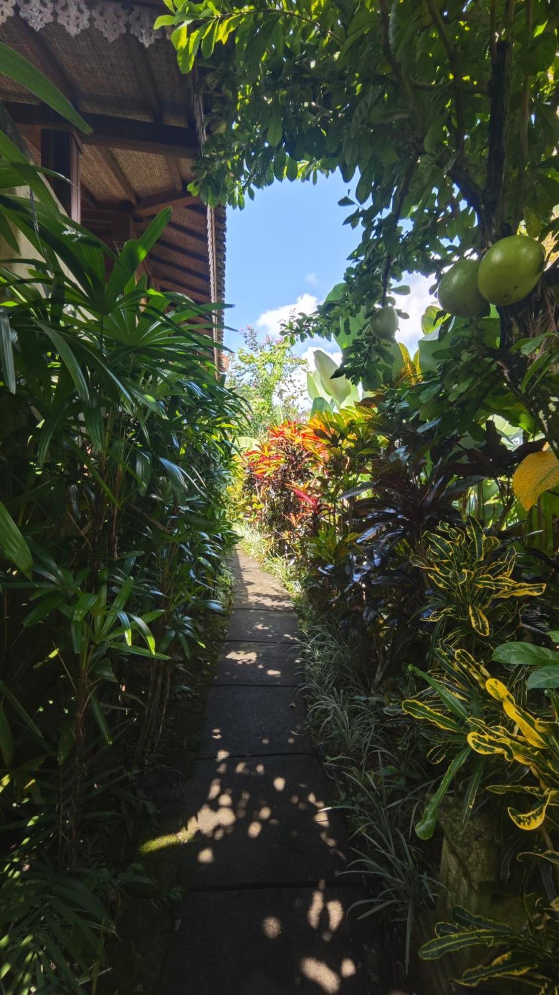 Neyang * Ubud