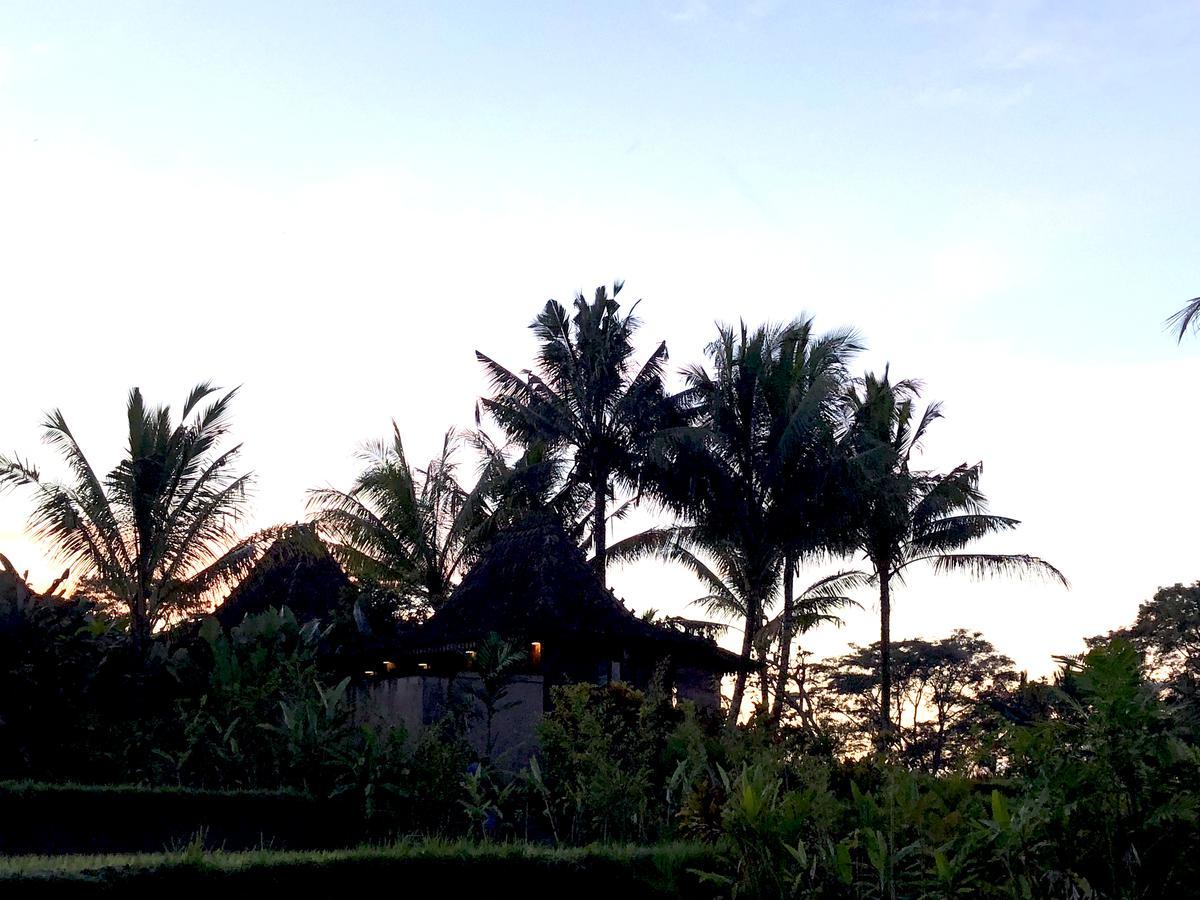 Neyang * Ubud