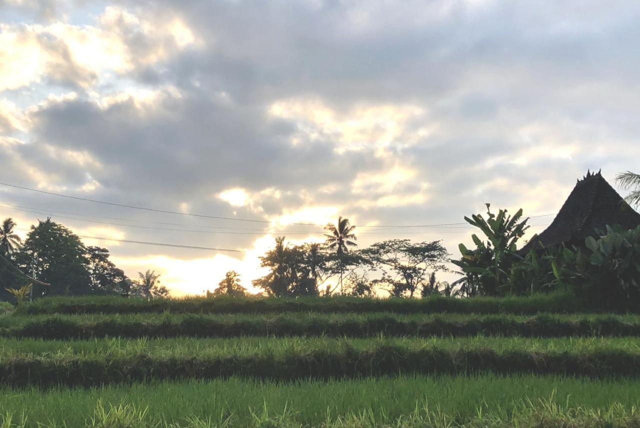 Villa Neyang Ubud