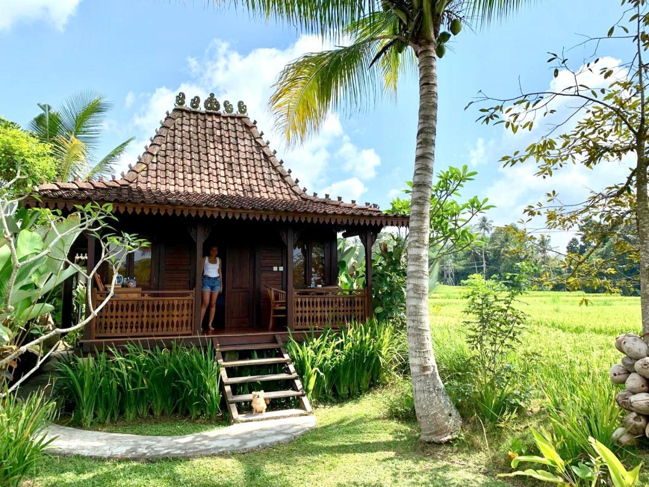 Neyang Ubud