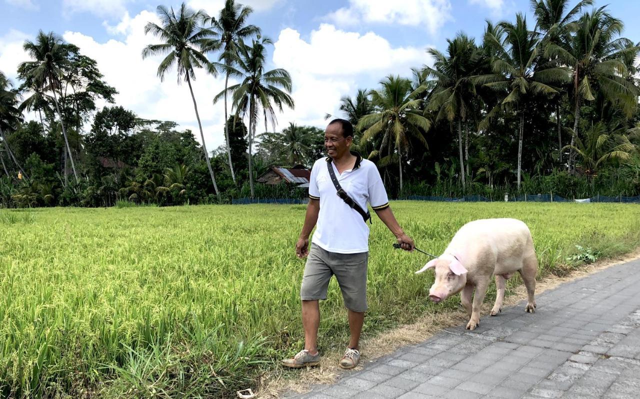 Neyang Villa Ubud