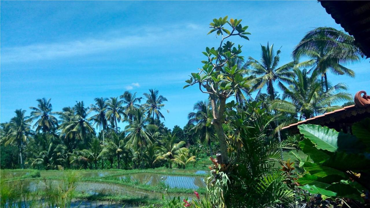 Neyang Villa *