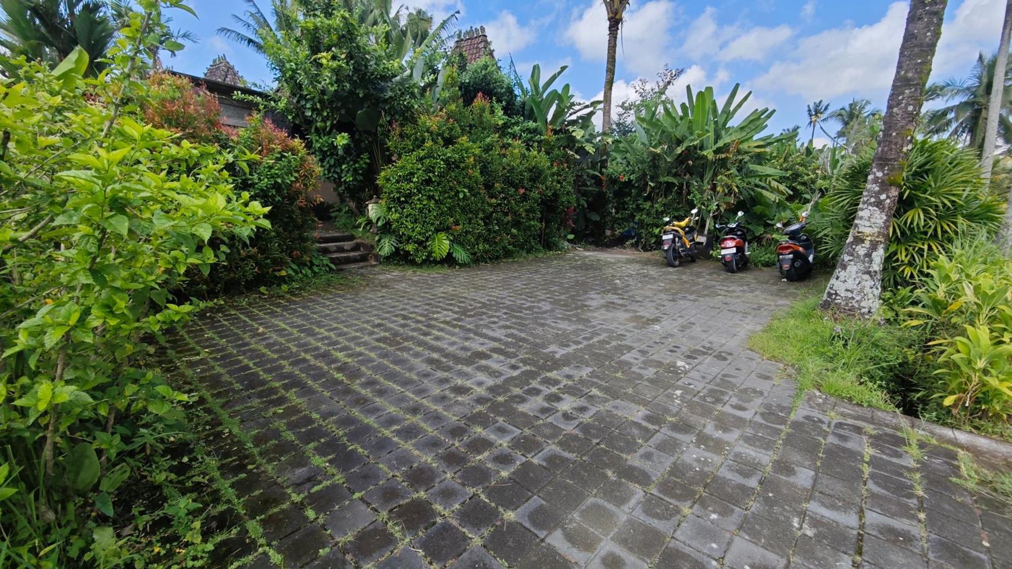 Neyang * Ubud