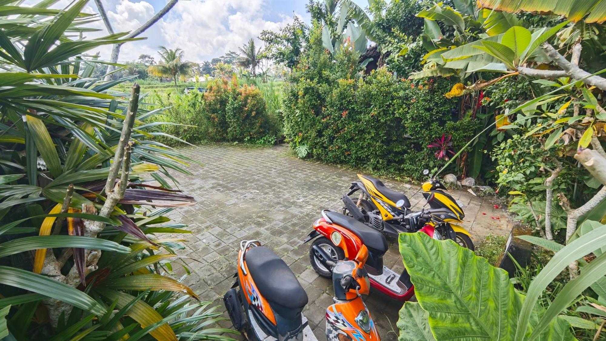 Neyang Villa